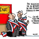 cumul-des-mandats-le-senat-gagne-une-manche_reference